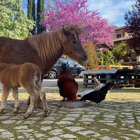 Affittacamere La Casa Del Contadino *